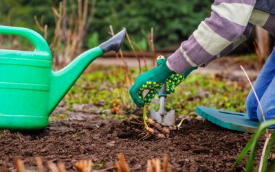 Fall gardening